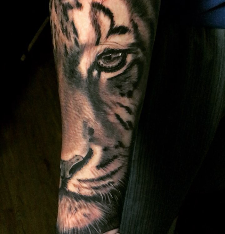 Tiger