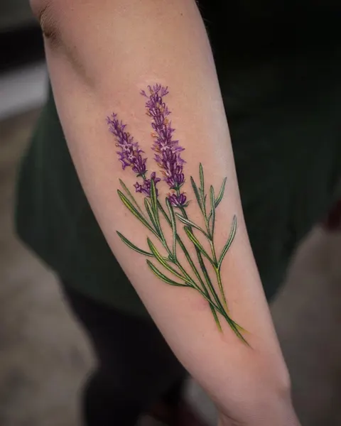 Flower, 풀, 허브, 대나무, 라벤더, 야생화, 올리브 가지, Nature, 탄생화