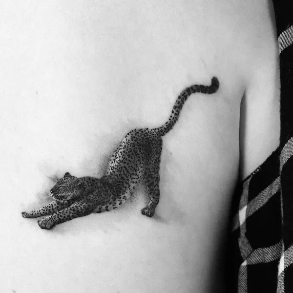Animal, Tiger