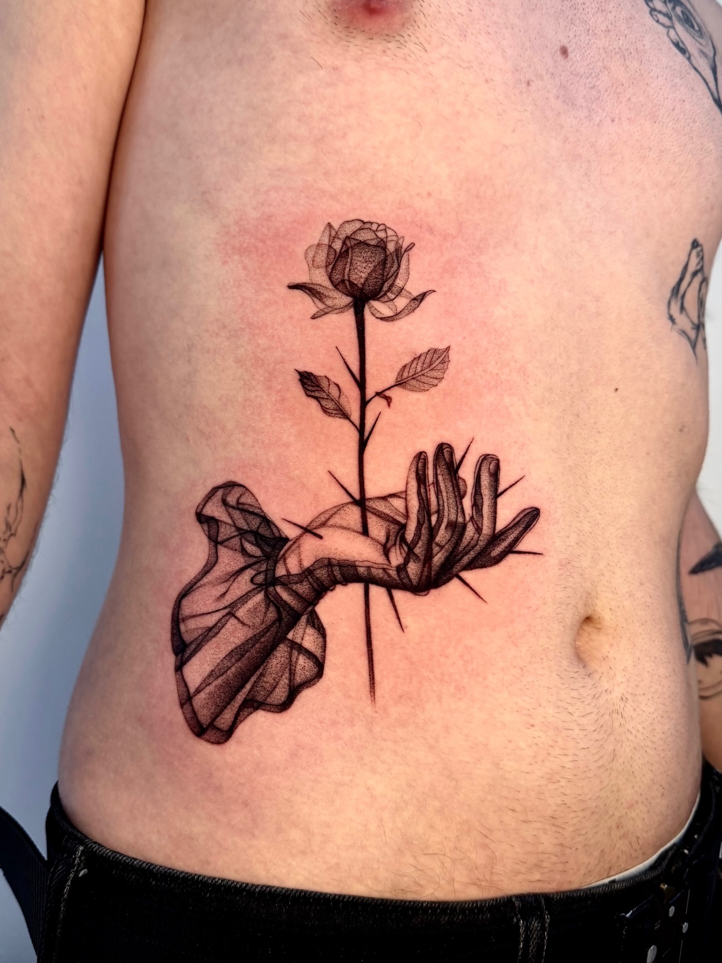 Flower, Rose, Nature