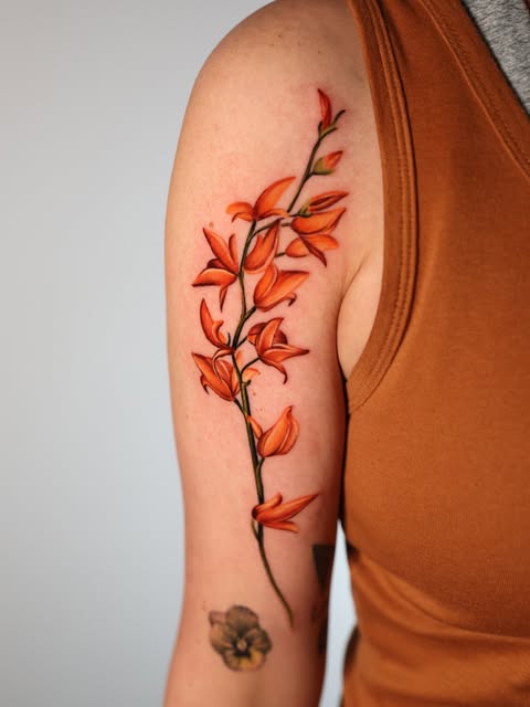 Flower, Rose