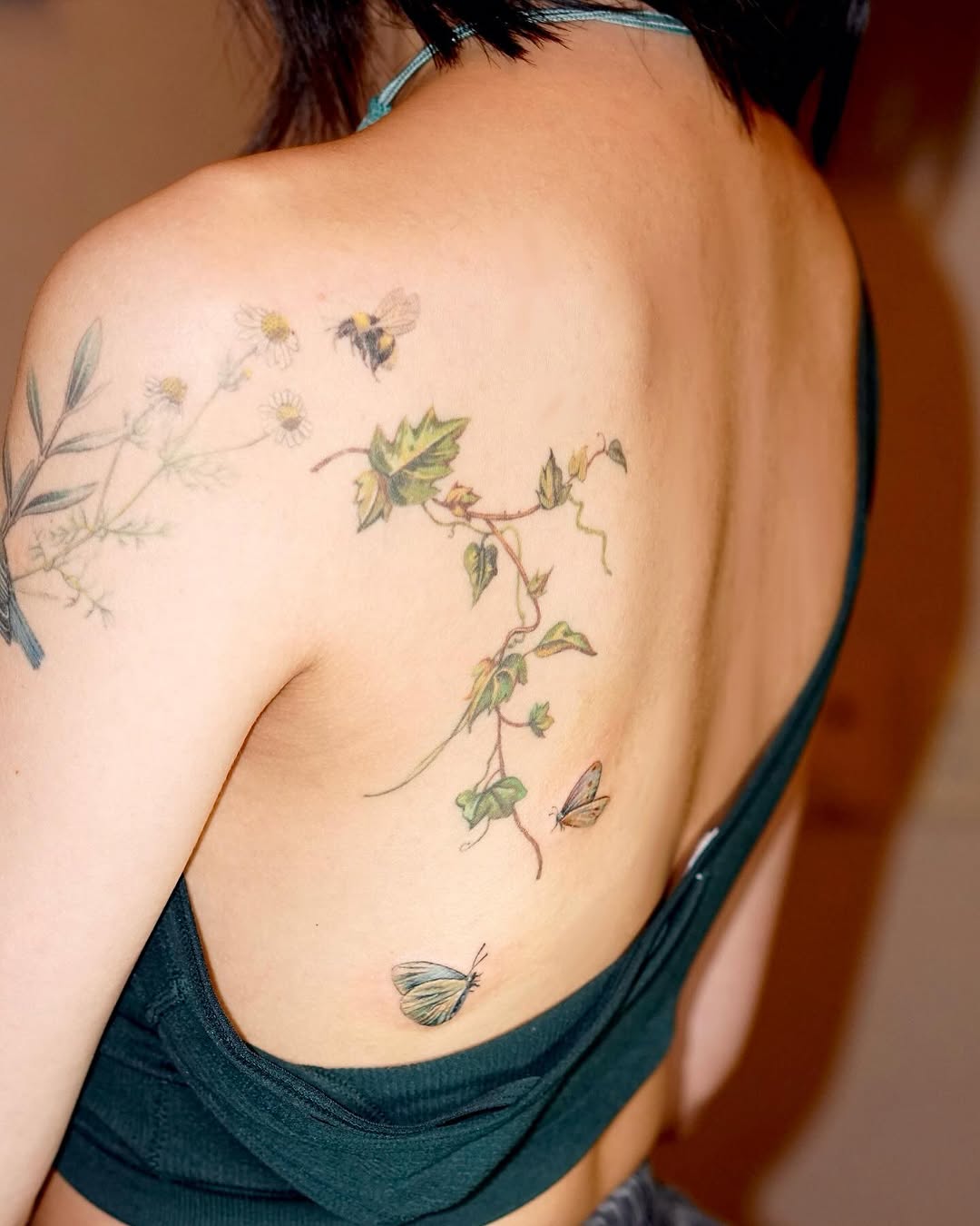 Flower, Nature, Rose