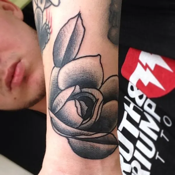 Flower, Rose