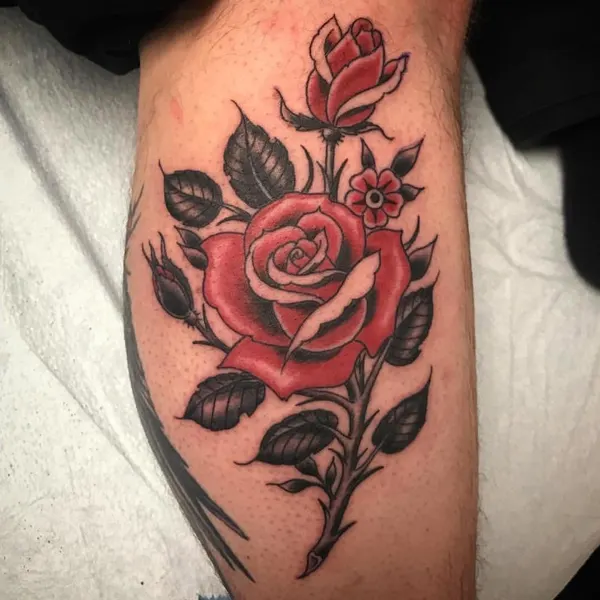 Flower, Rose