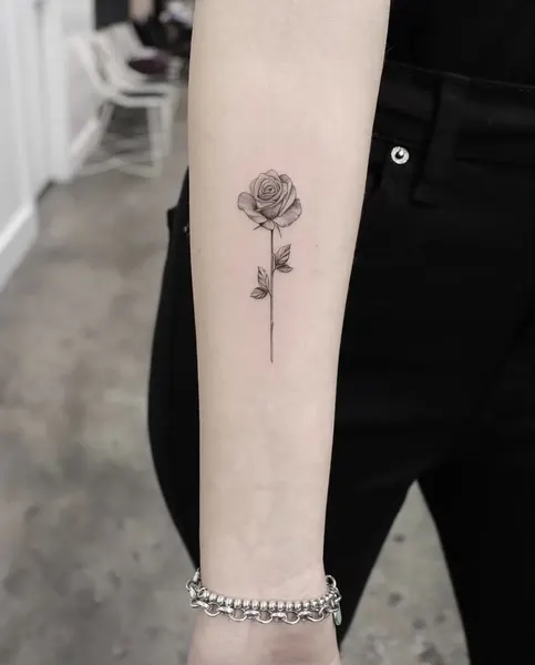 Flower, Rose