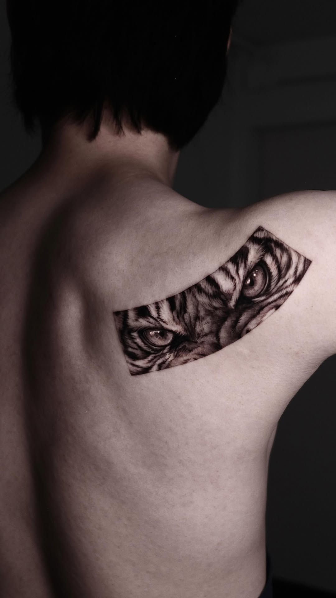40.tatt