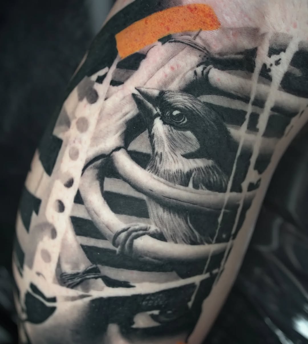 greg_tetradis_tattoo
