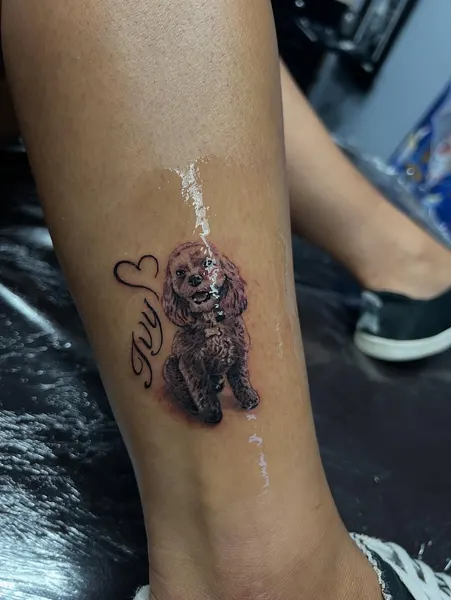 Animal