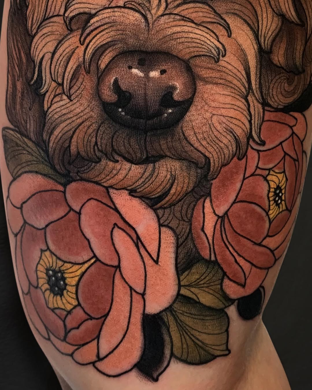 Animal