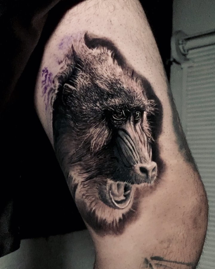Tiger, Animal, 늑대, 고릴라, 멧돼지, 늑대인간