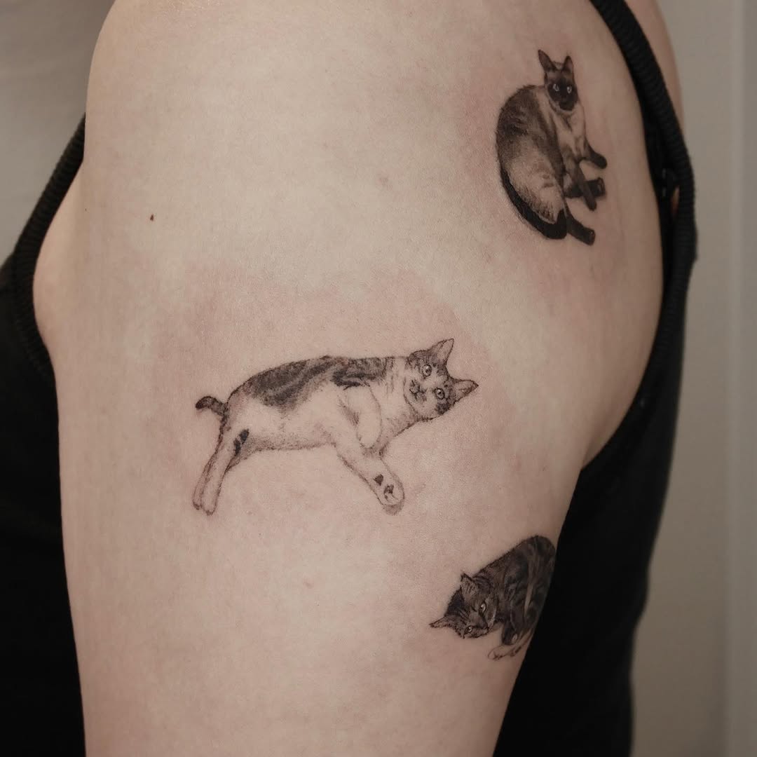 40.tatt