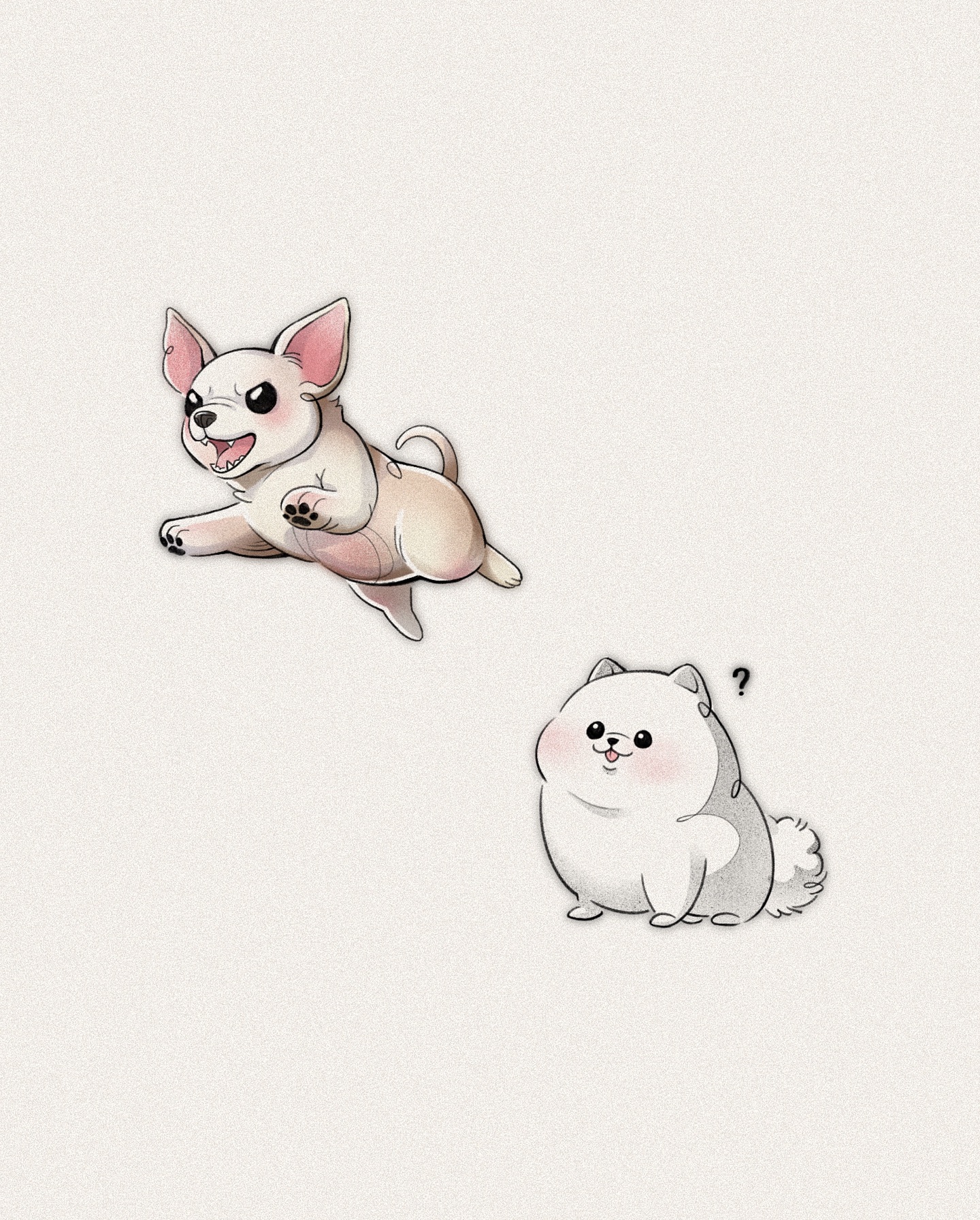 Animal