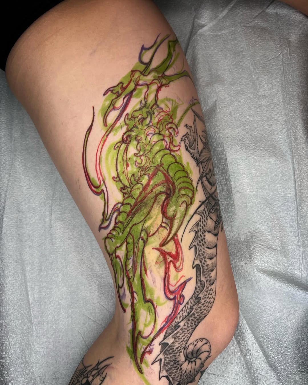 Dragon