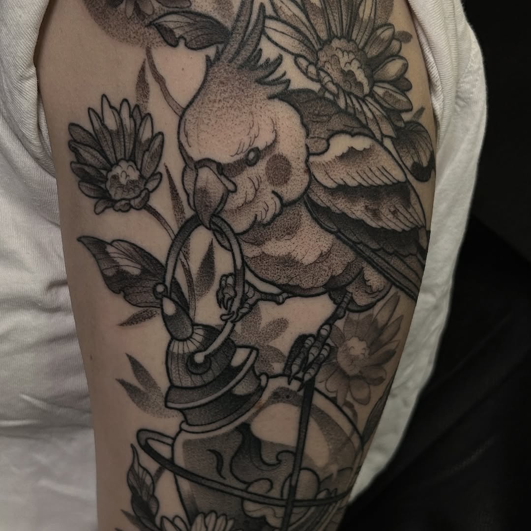 sarastigmata