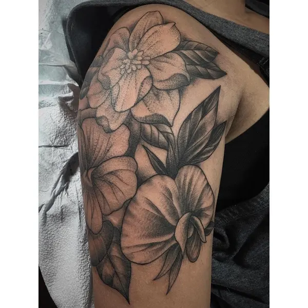 Flower, Rose