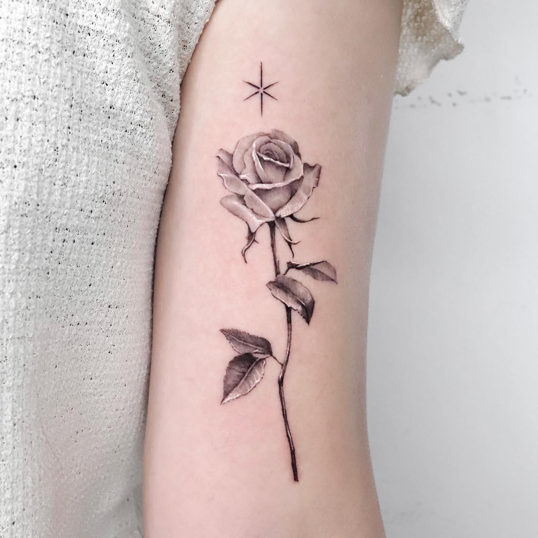 Flower, Rose