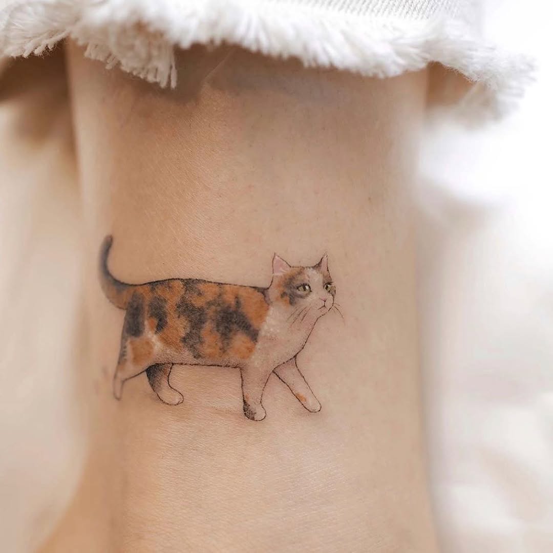soltattoo