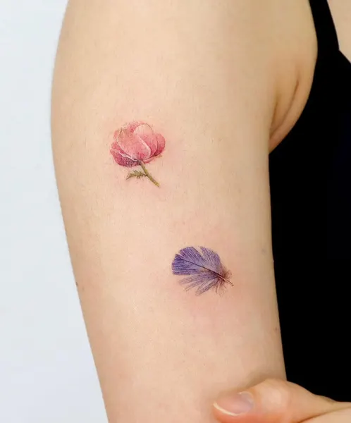 Flower, Rose