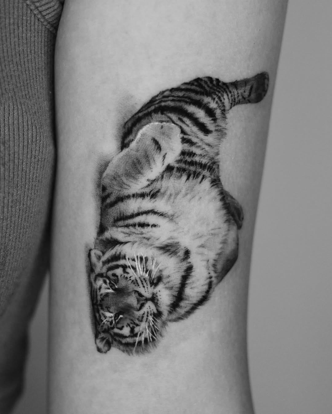 40.tatt
