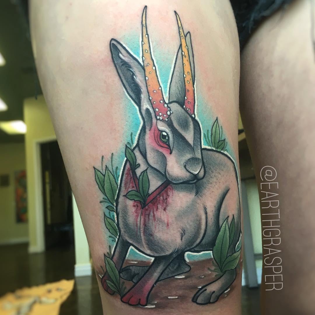 Animal