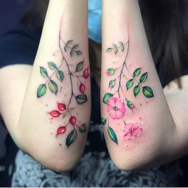 Flower, Rose