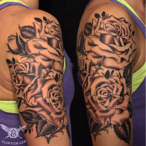 Flower, Rose, Nature