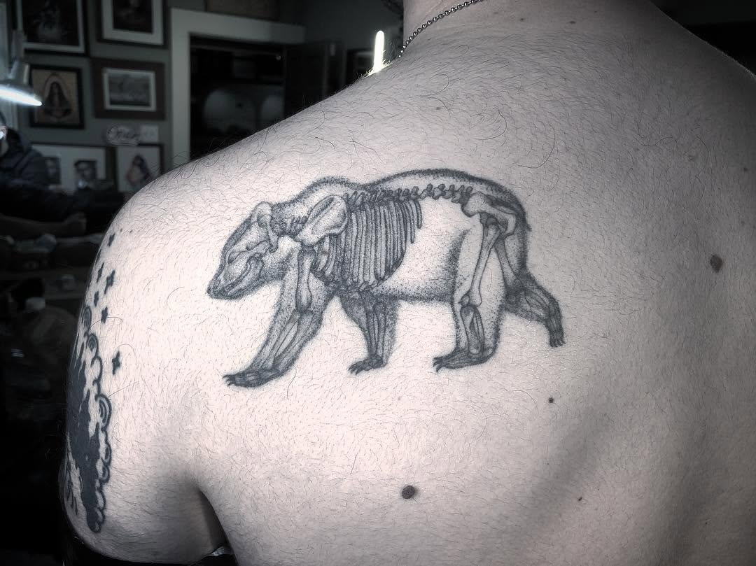 Animal