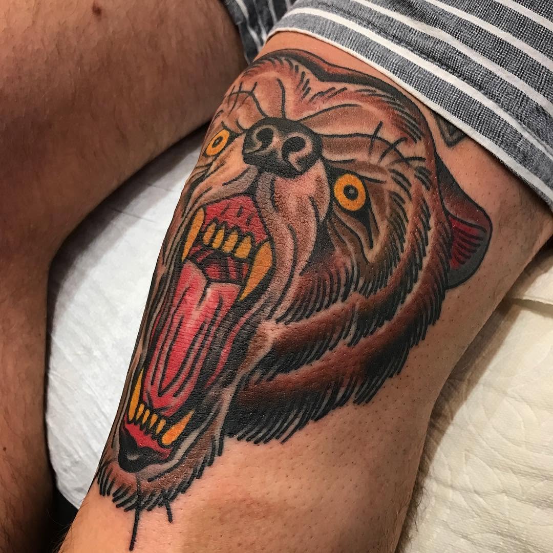 Animal, Tiger