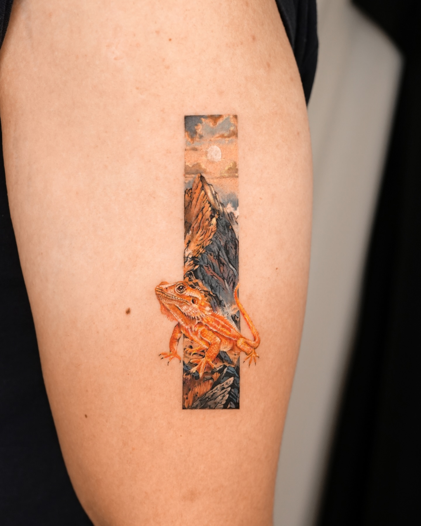 Dragon, 도마뱀