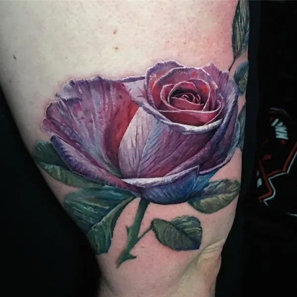 Flower, Rose