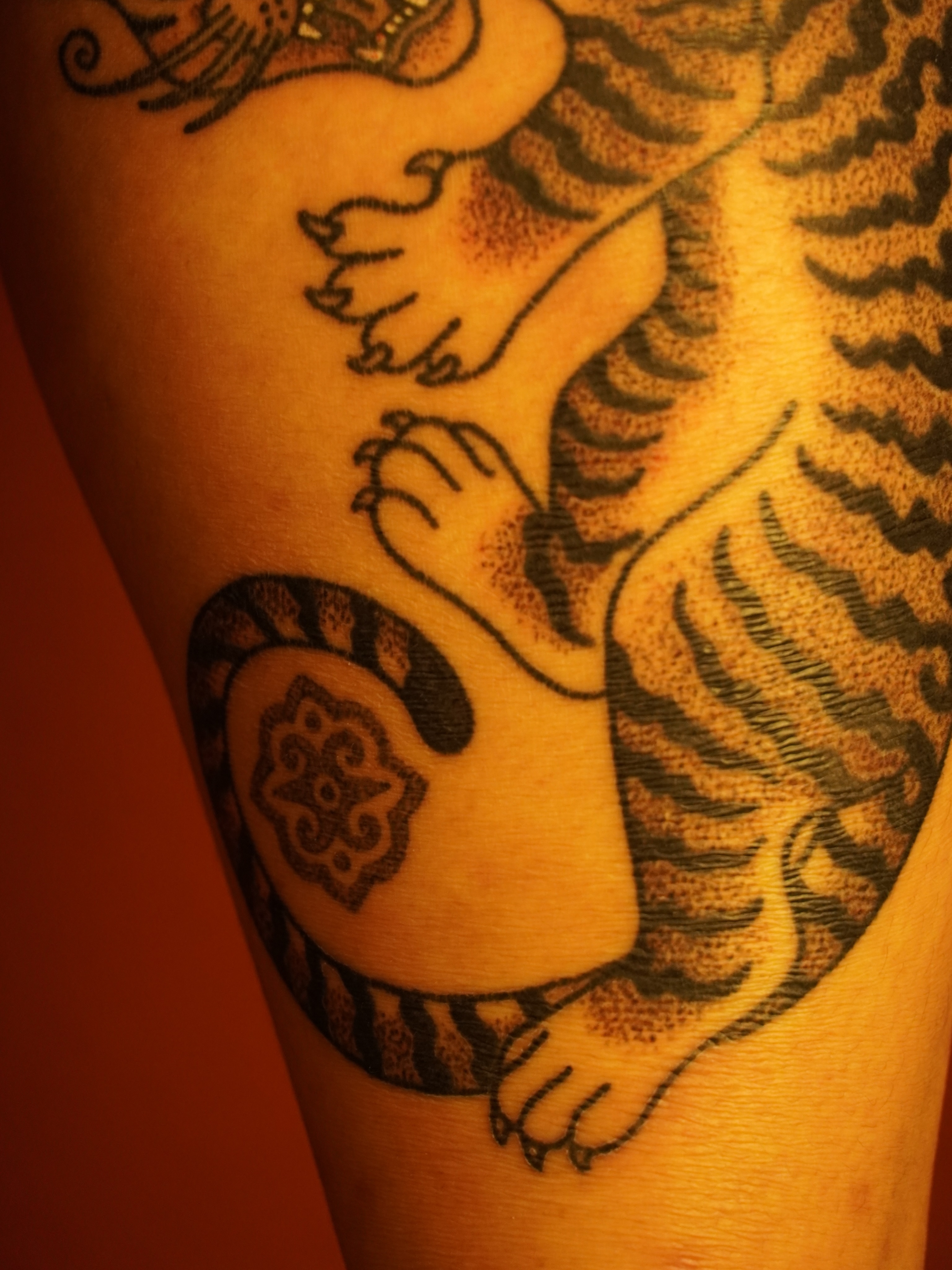 Tiger