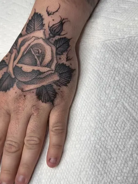 Flower, Rose