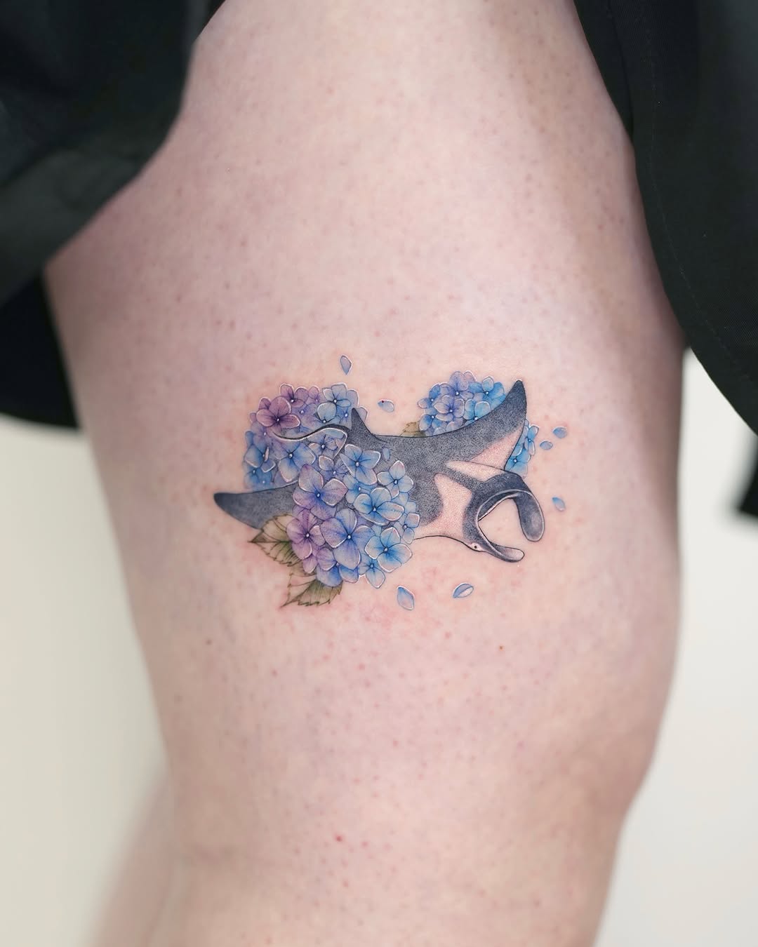 siren_ink