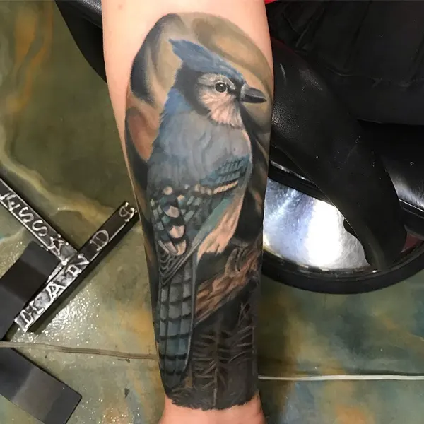Animal