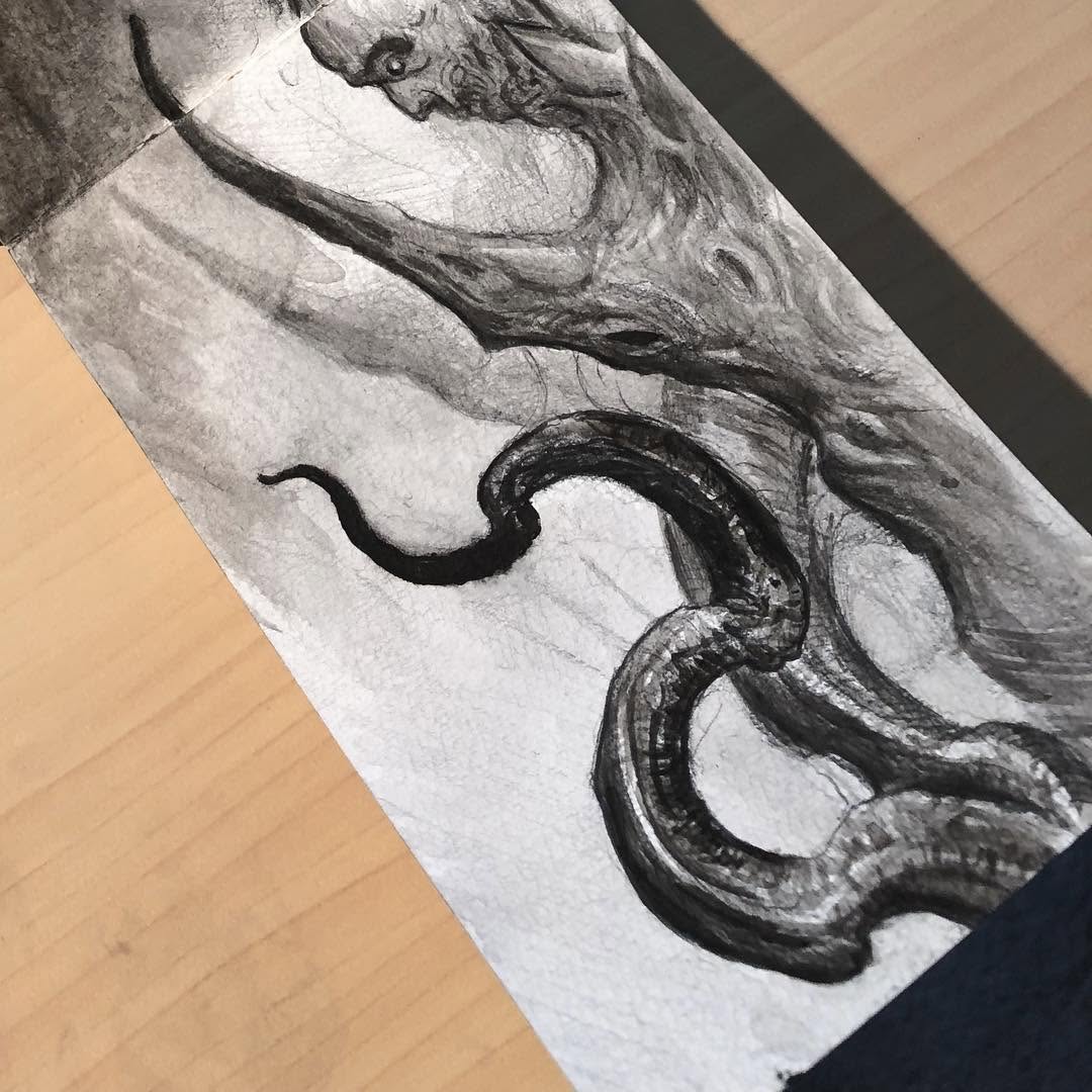 Animal