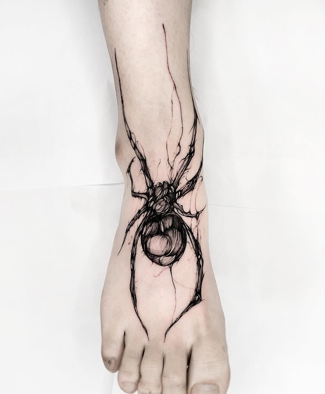 Animal, 거미
