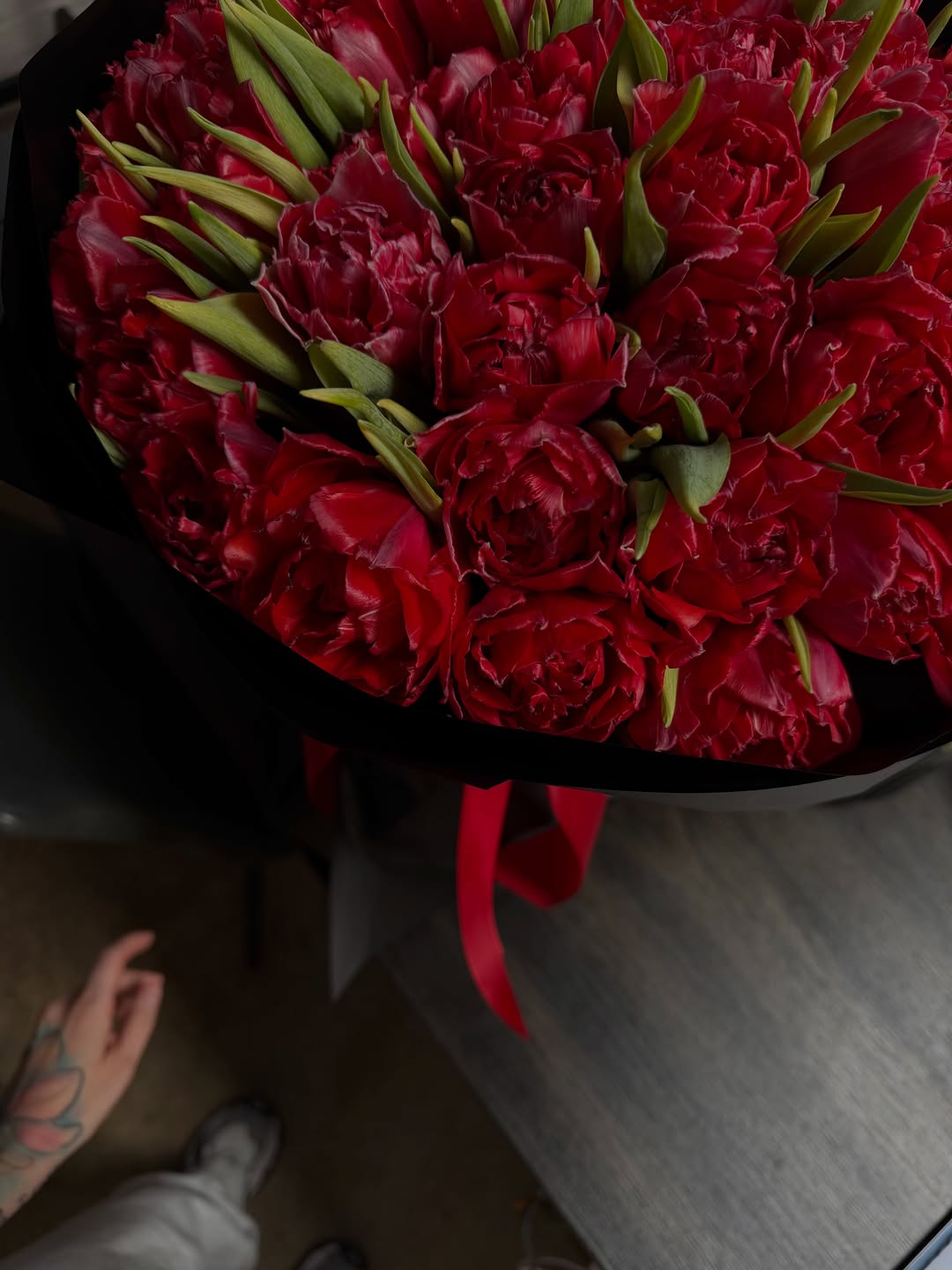 Flower, Dragon, Nature, Rose