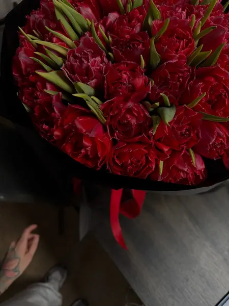 Flower, Rose, Nature, Dragon