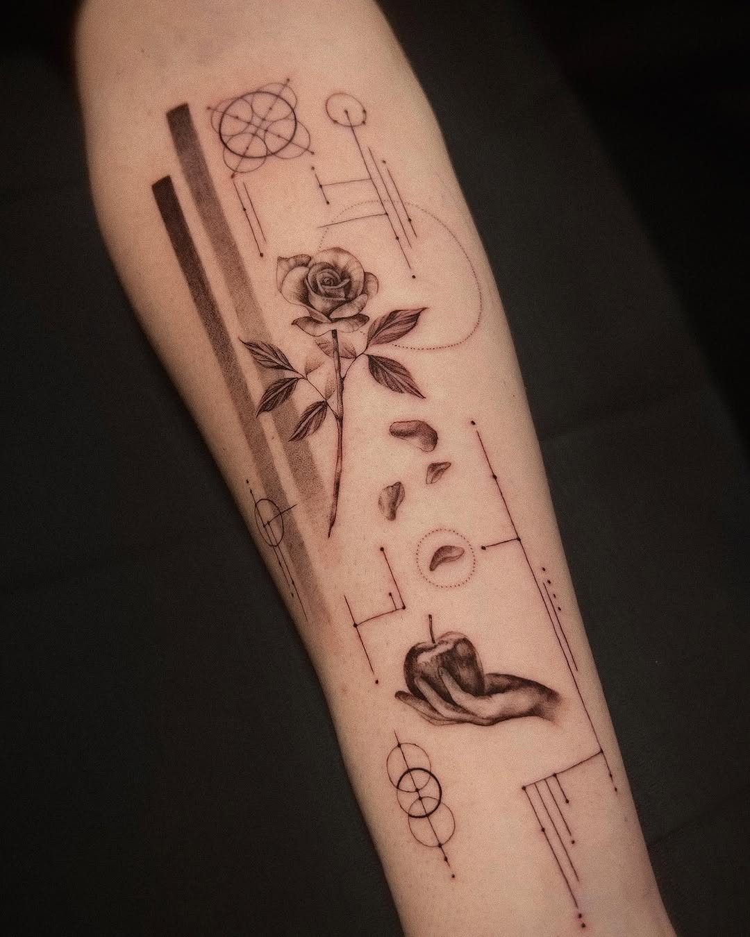 Flower, Rose