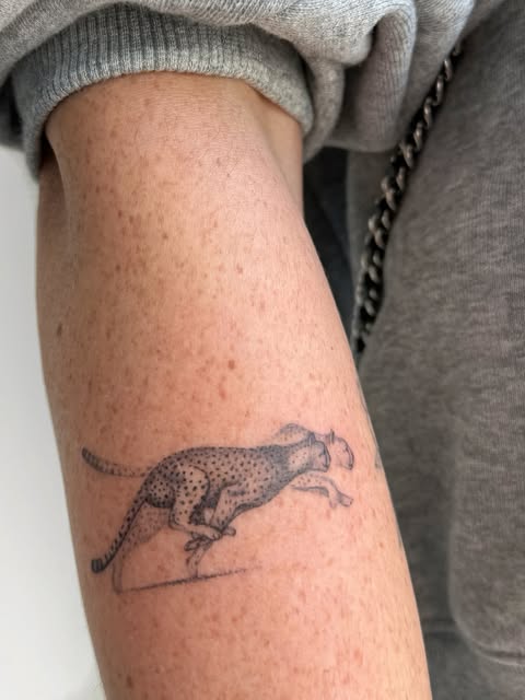 Animal, Tiger