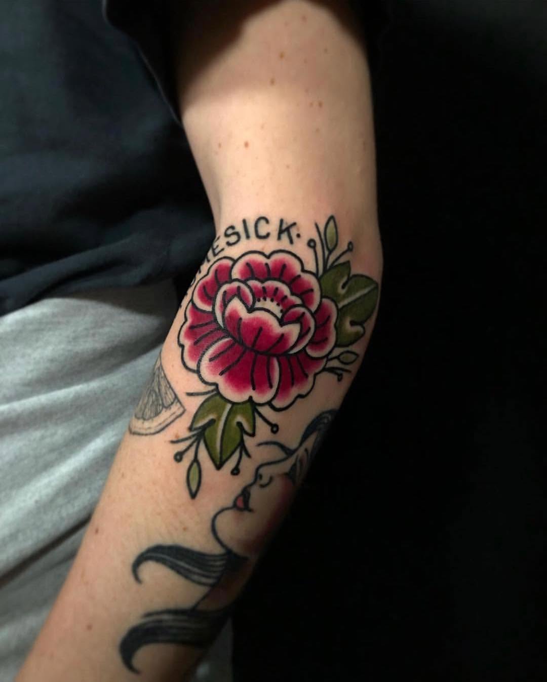 Flower, Rose