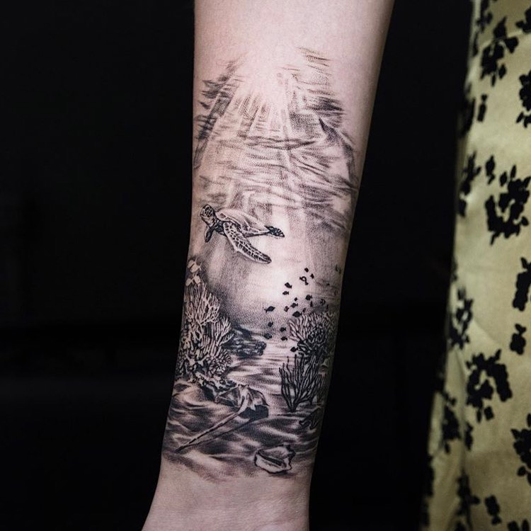 Animal, Nature