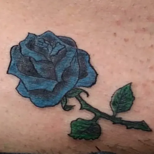 Flower, Rose, Nature