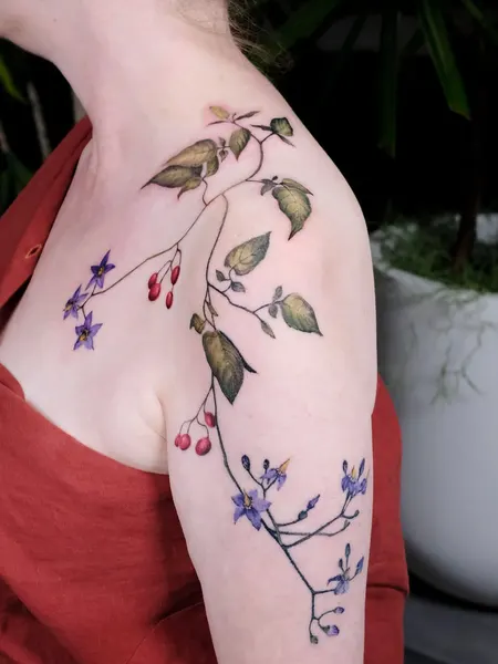 Flower, Rose