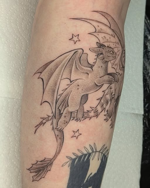 Dragon, 드래곤 라이더