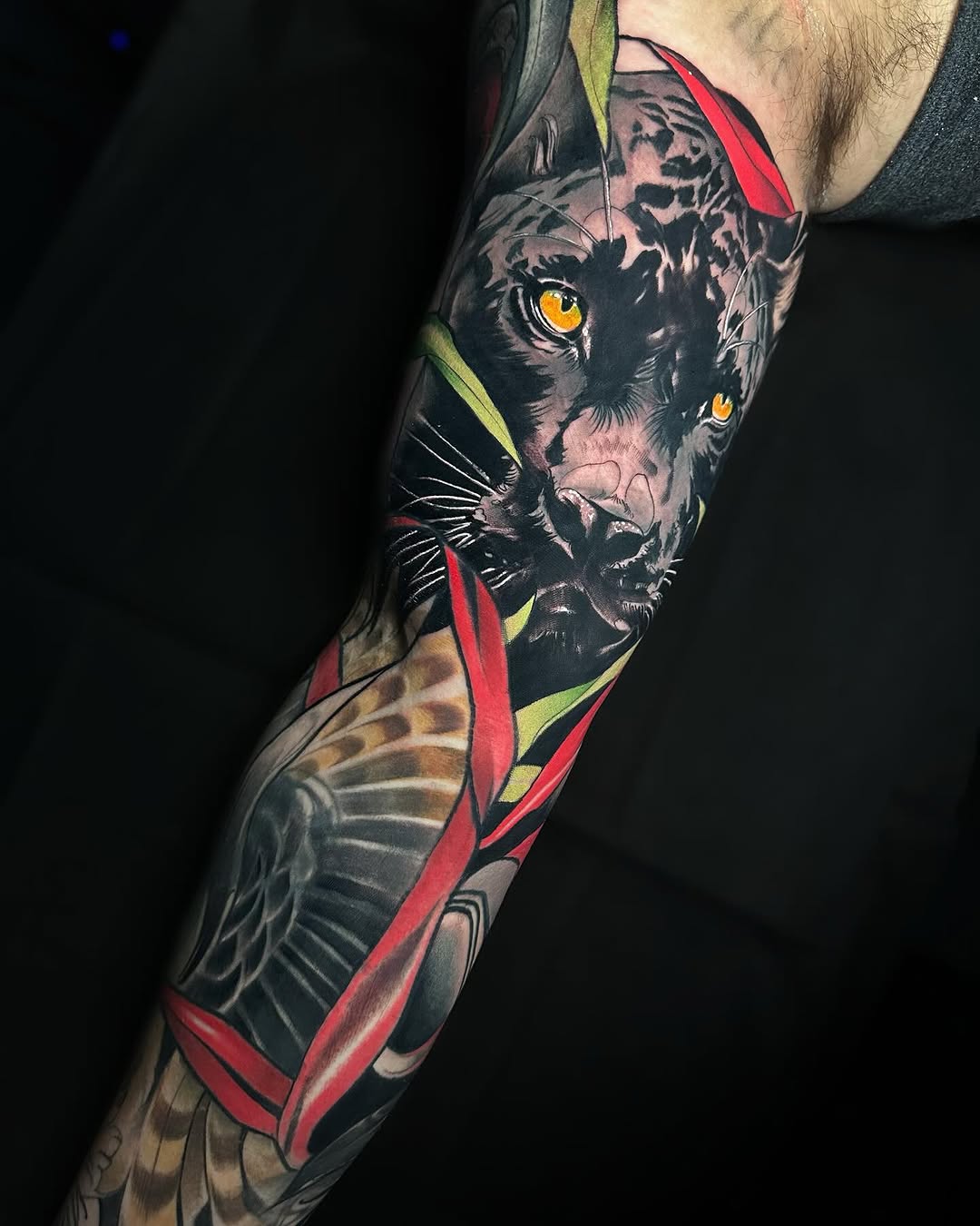 Tiger, Animal