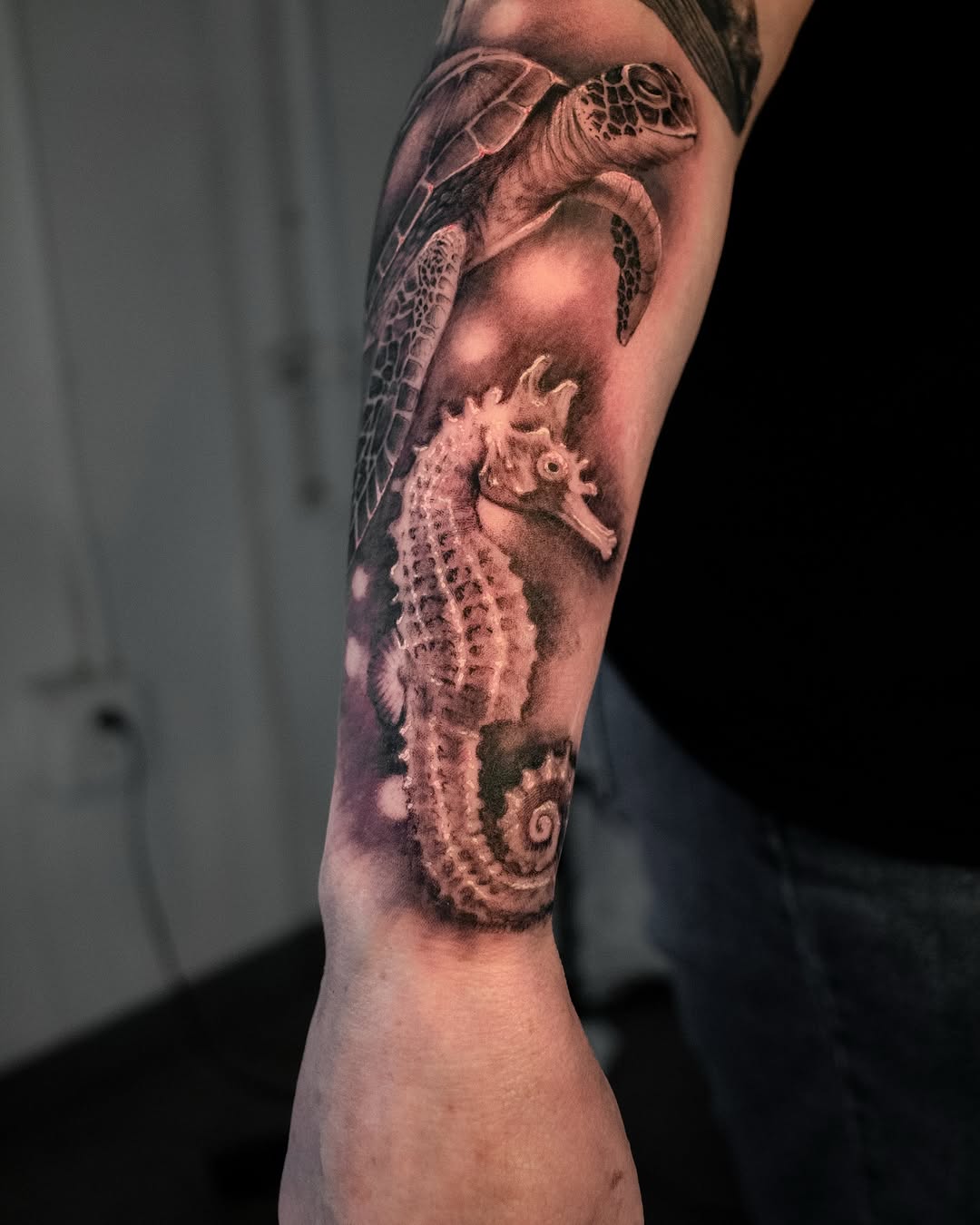 Animal, 문어
