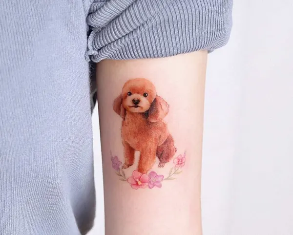 Animal, 반려동물