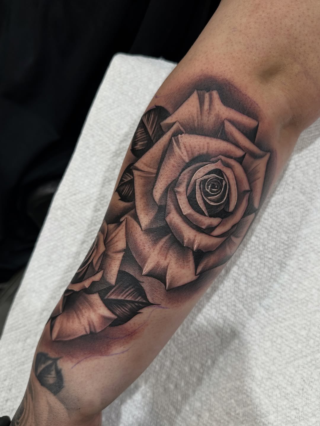 Flower, Rose