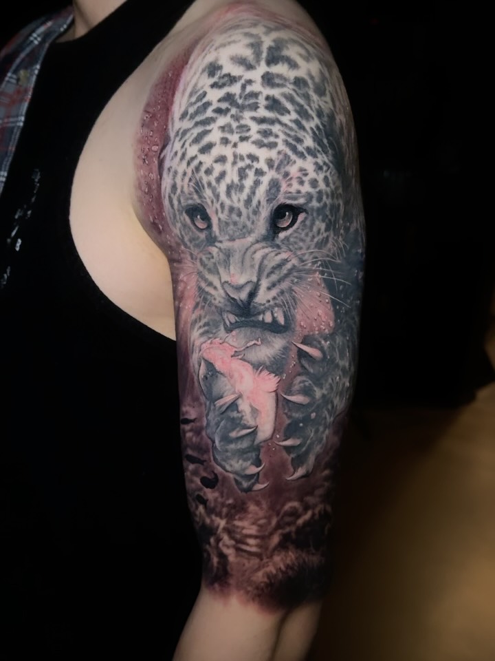 Animal